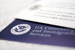 New York TN Visa Attorney 2 TN-Visa-Texas