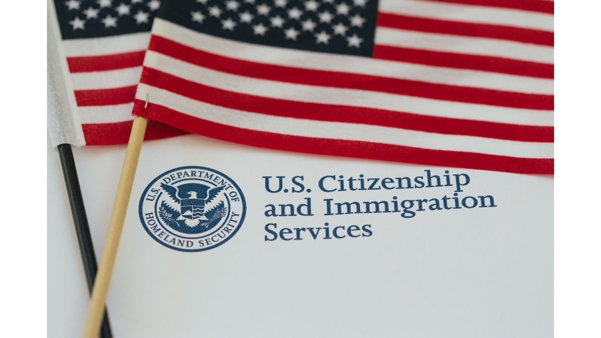 U.S. Citizenship and Naturalization
